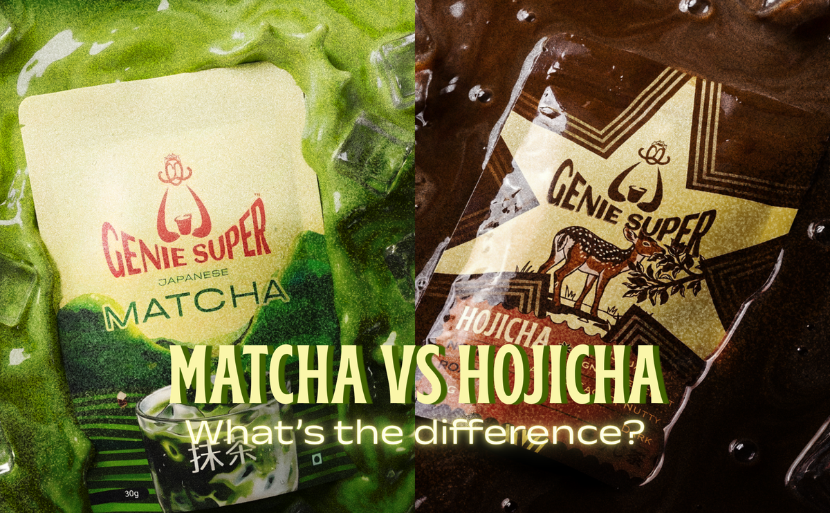 Hojicha vs Matcha: What's the difference?