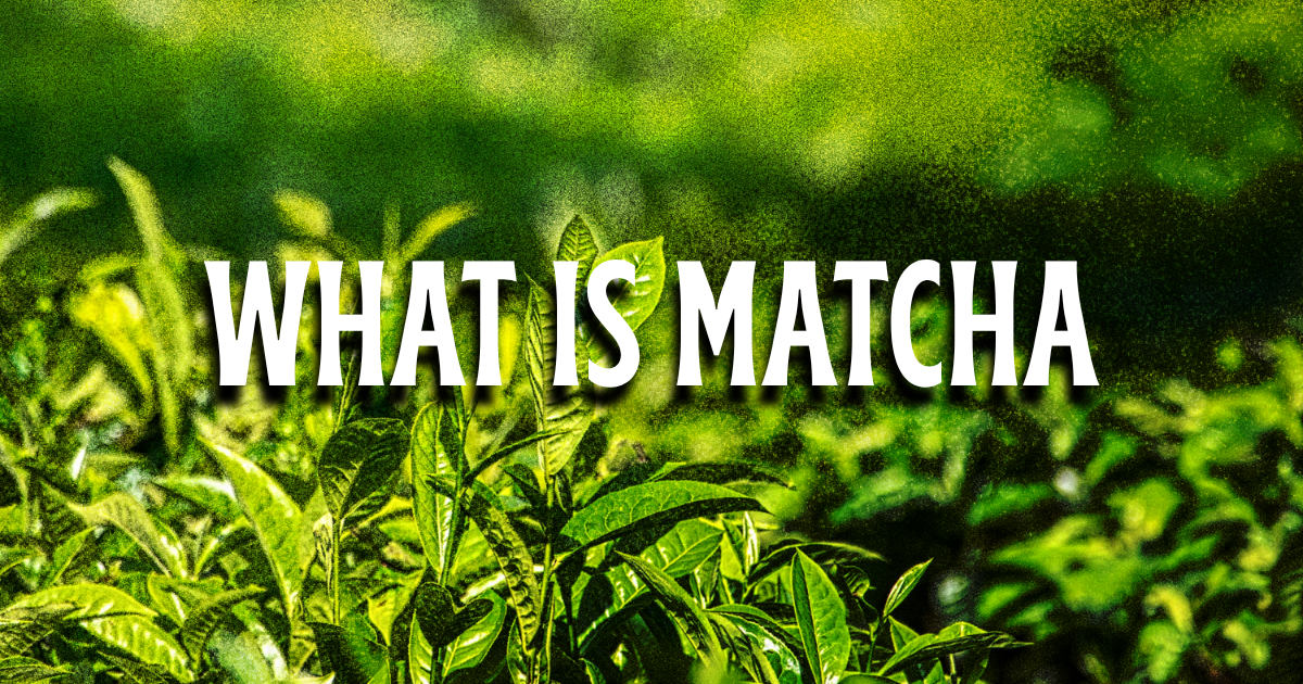 What Is Matcha?
