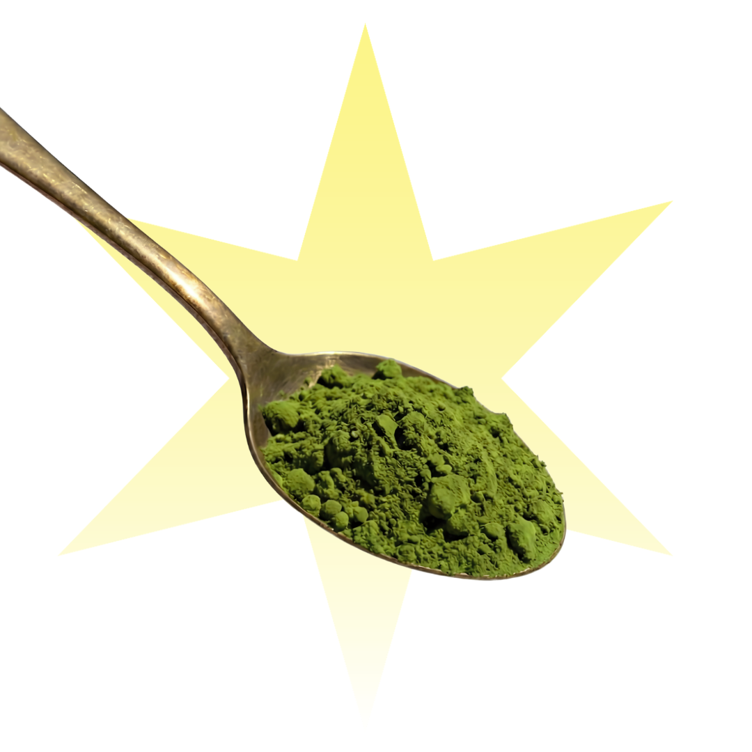 Yabukita Matcha (Wholesale)