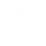 Genie Super