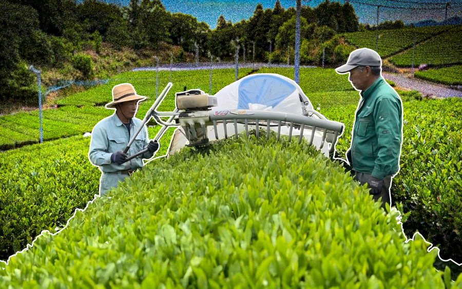 Two people working in a field with agricultural equipment.